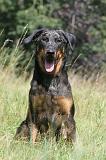 BEAUCERON 081